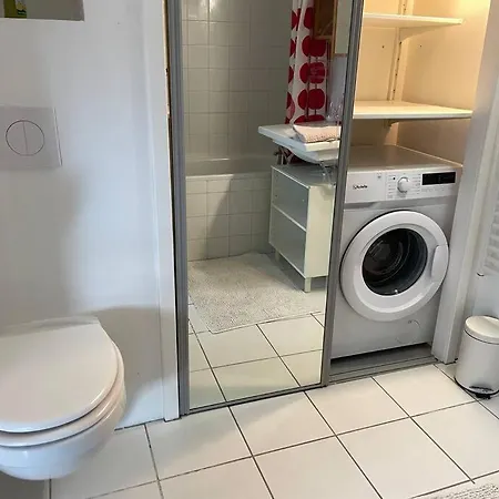 Appartement Duplex Lumineux Avec Terrasse. *