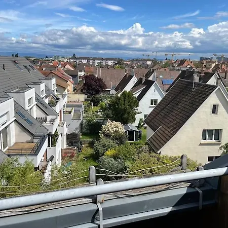 Appartement Duplex Lumineux Avec Terrasse. Bischheim