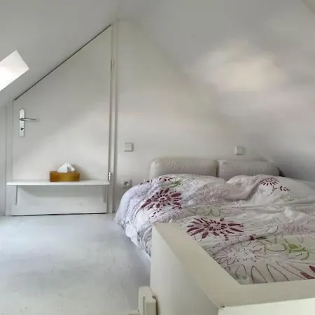 Duplex Lumineux Avec Terrasse. Appartement Bischheim